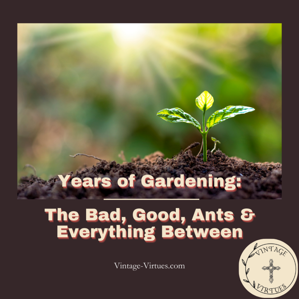 Years of Gardening: The Bad, Good, Ants & Everything&nbsp;Between