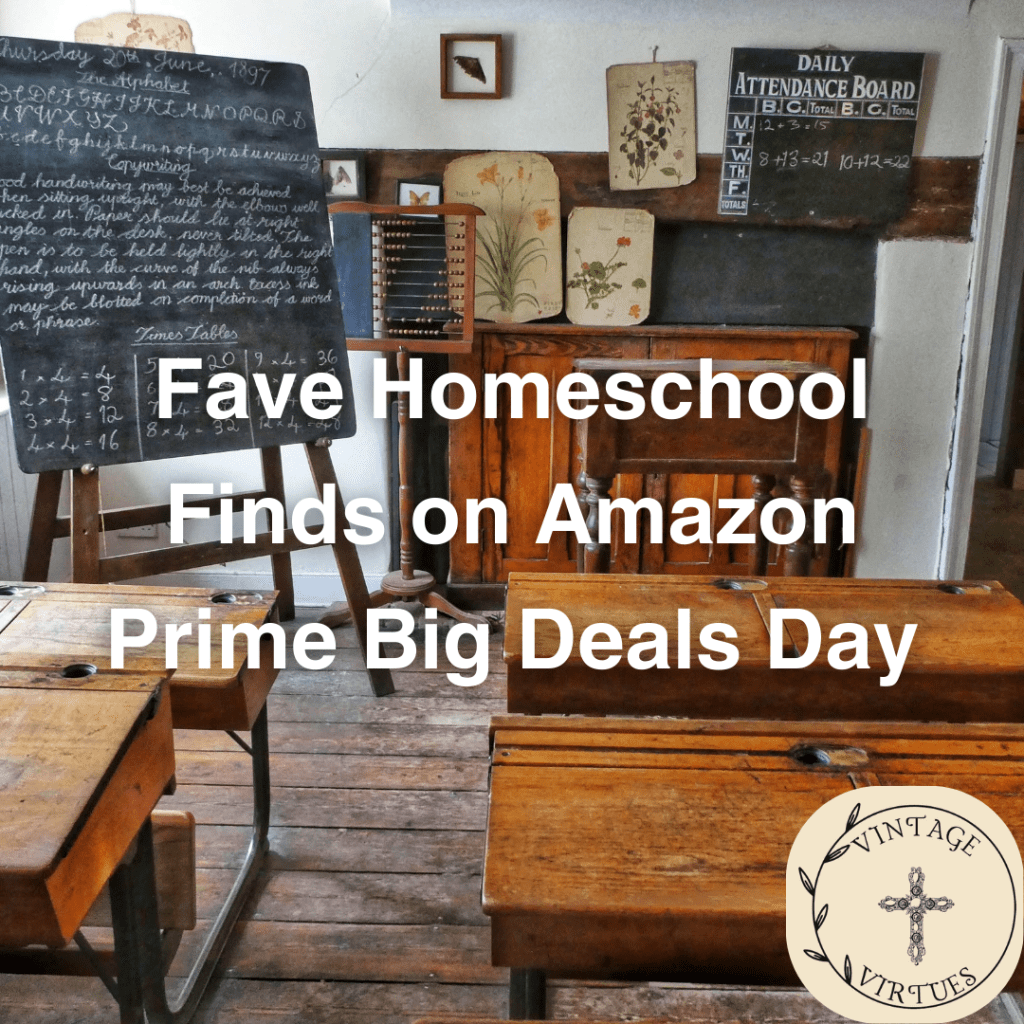Fave Homeschool Finds on Amazon Prime Big Deals&nbsp;Day