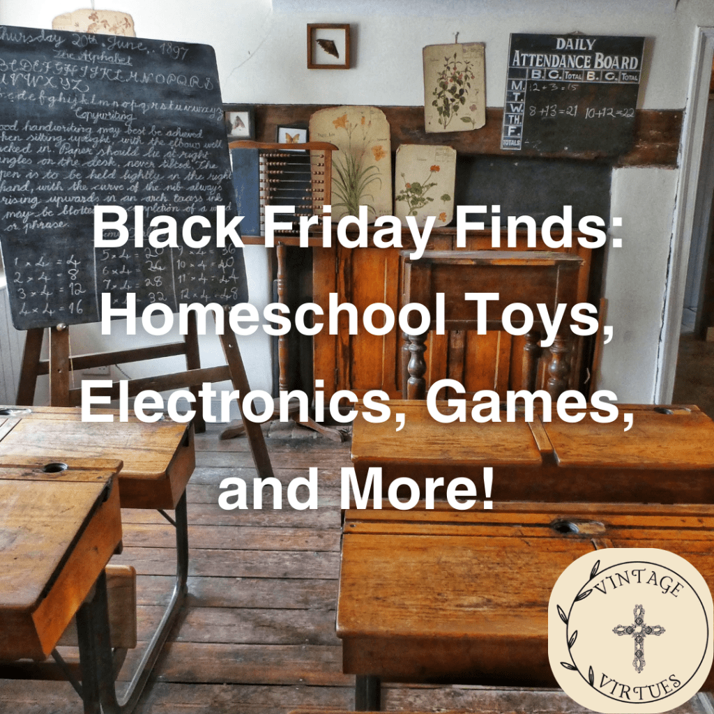 2025 Black Friday Finds: Homeschool Toys, Electronics, Games, and&nbsp;More!