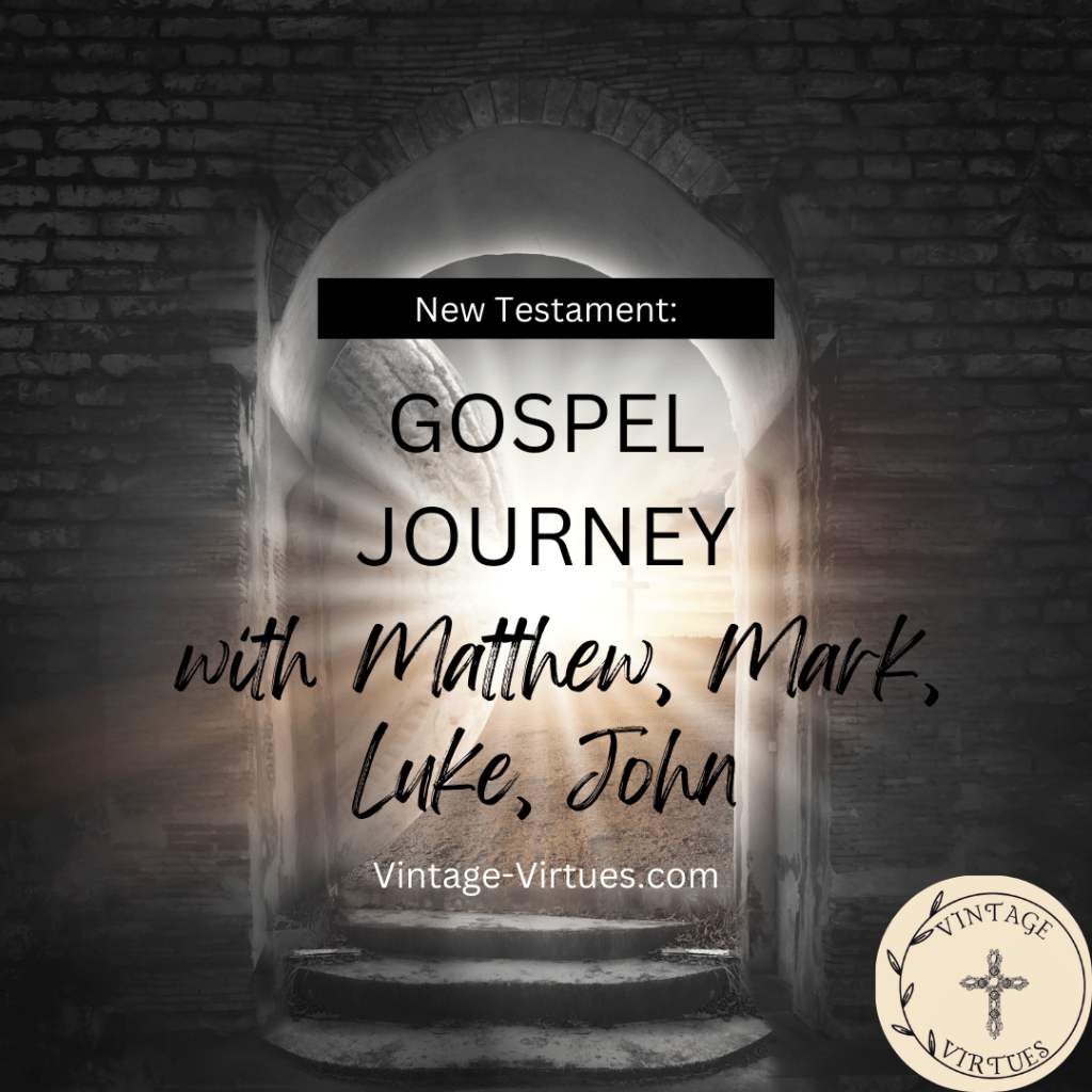 New Testament: Gospel Journey with Matthew, Mark, Luke,&nbsp;John