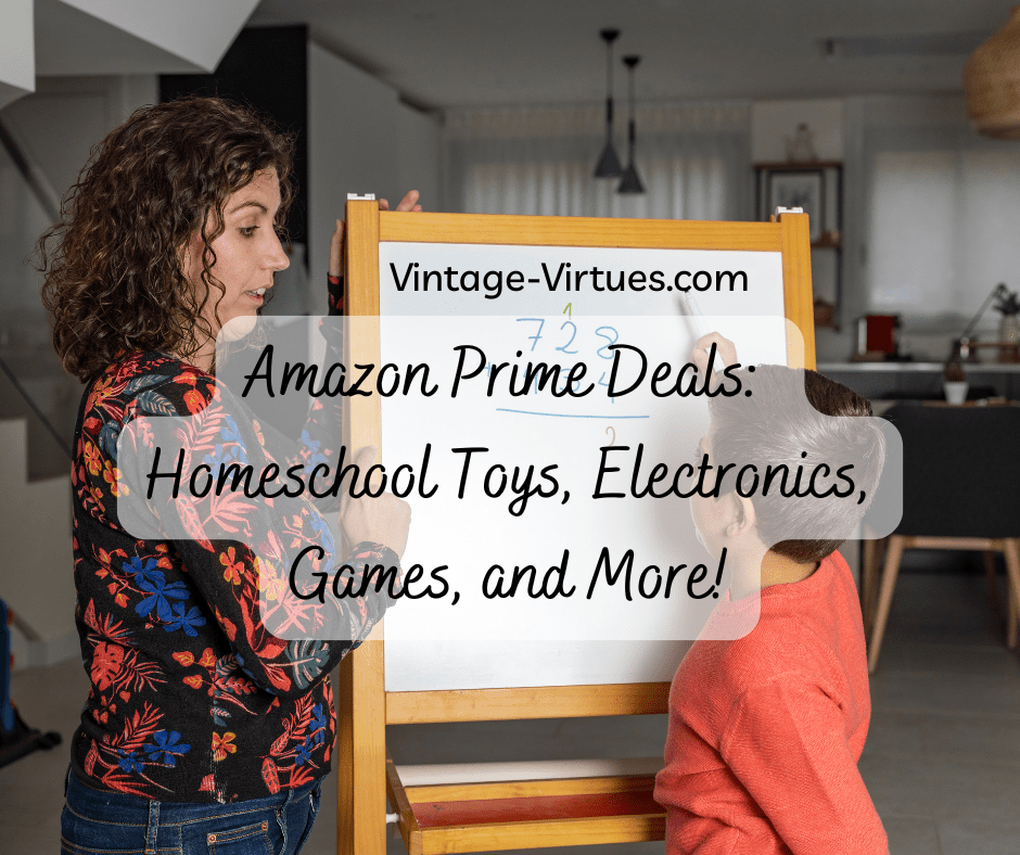 Amazon Prime Deals: Homeschool Toys, Electronics, Games, and&nbsp;More!
