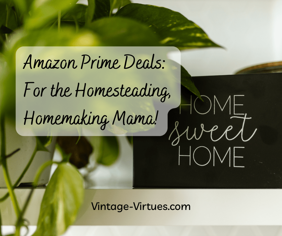 Amazon Prime Deals: For the Homesteading, Homemaking&nbsp;Mama!